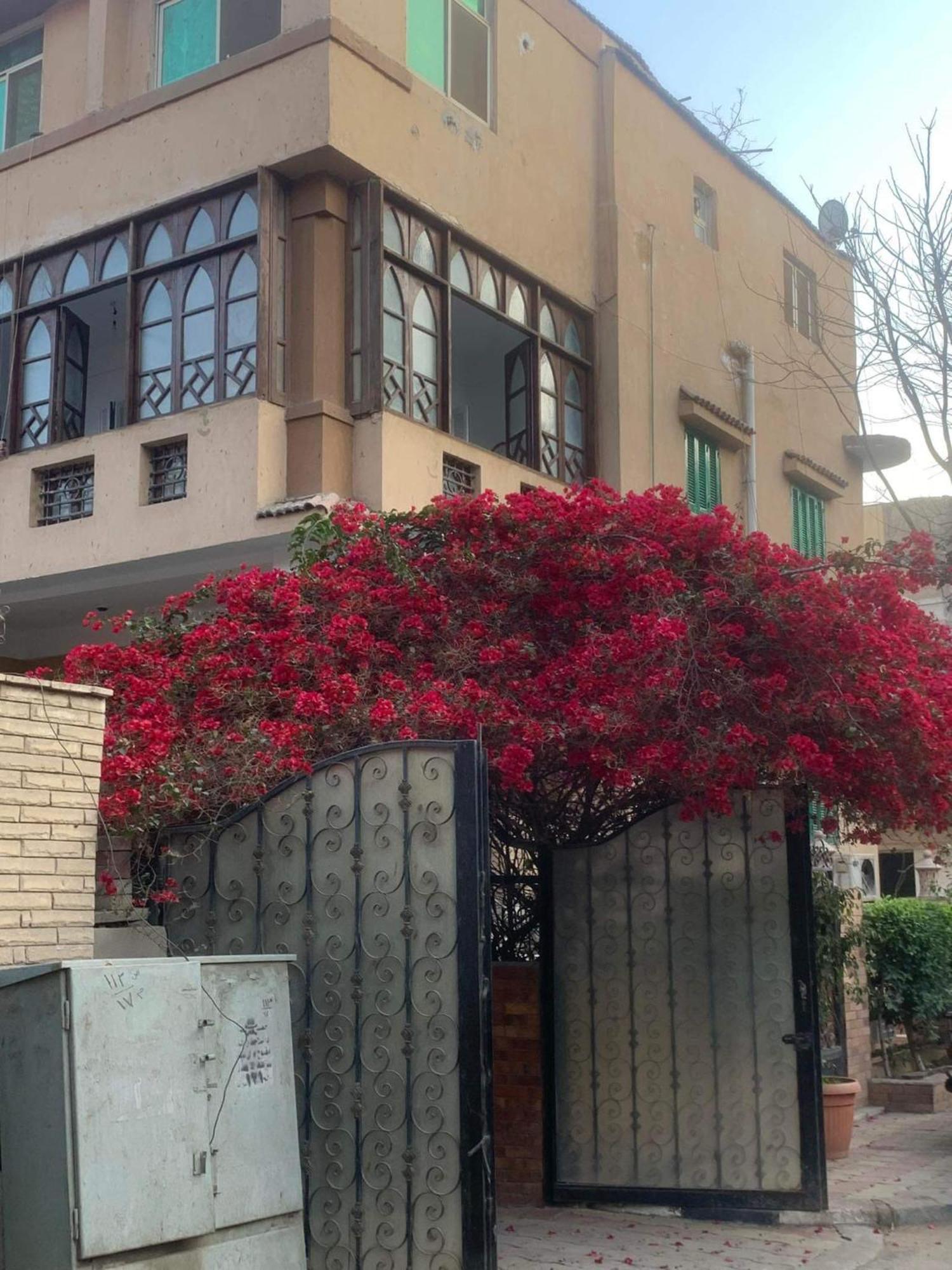 Apartment Chic Au Caire